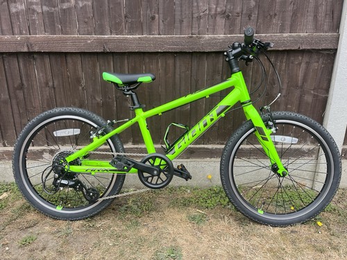 Giant arx hybrid - **giant,