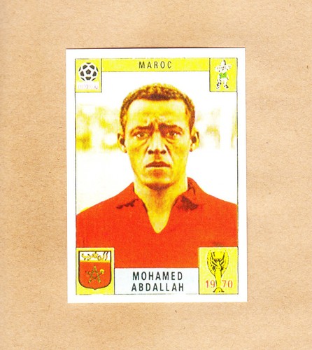 Panini fifa world cup - panini,