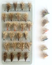 Sedgehog stillwater x24 - sedgehog, box