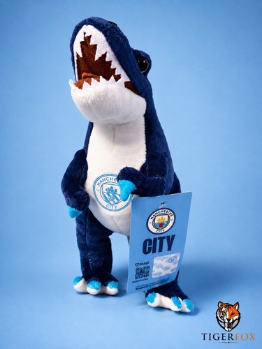 Manchester city standing - city,