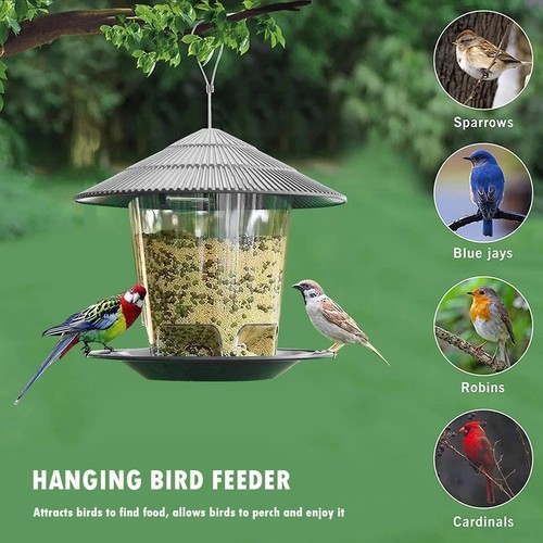 Wild bird feeder hanging - wild, suet