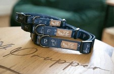 Dog Step-In Harness, Collar