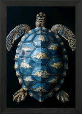Sea Turtle Shell with Clouds