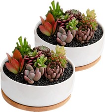 Disdain Plant Flower Pots Indoor, 2-Pack Set Ceramic Flower Pots Planter, White