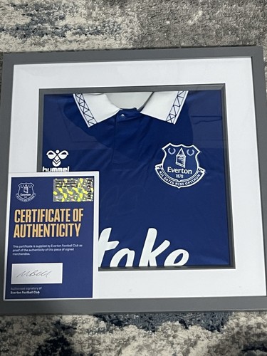 Everton hummel framed - fc,