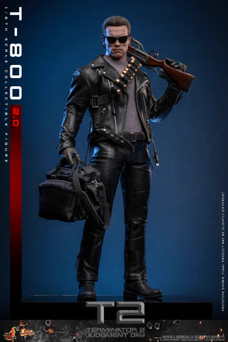 Hot toys mms795 terminator - hot,