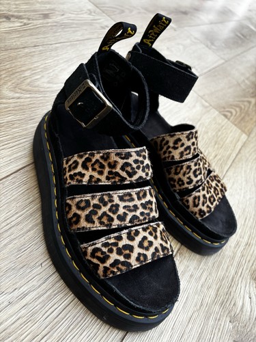 Martens clarissa ii animal - martens,