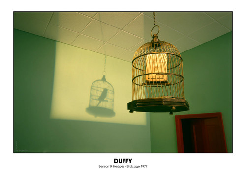 Duffy benson and hedges - duffy,