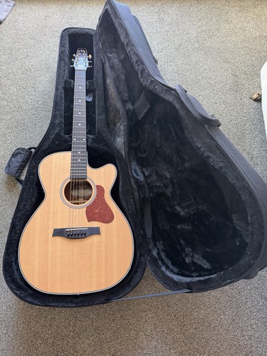 Seagull maritime sws acoustic - seagull,
