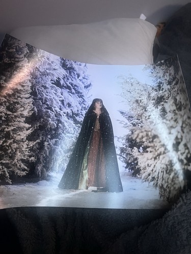 Taylor swift willow lithograph - swift,