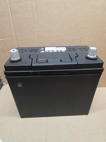Starter battery for - starter,