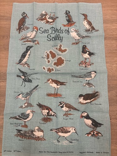 Vintage sea birds - birds, scilly