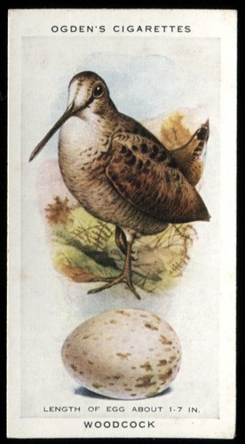 Tobacco card ogdens british - card,, ogdens,