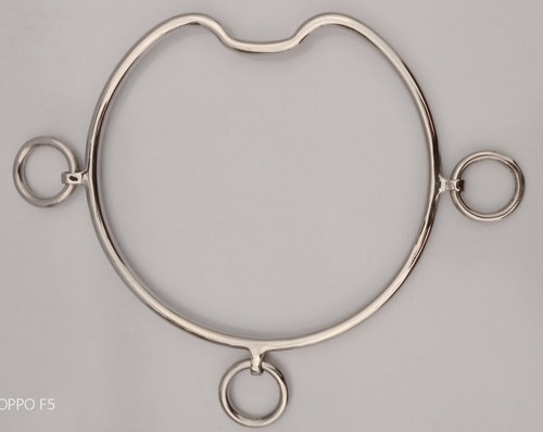 Chifney bit anti rearing - chifney,