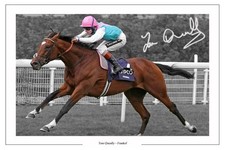 TOM QUEALLY FRANKEL AUTOGRAPH
