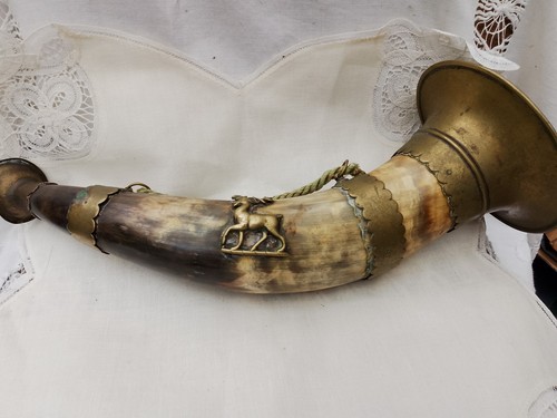 Antique bulls horn hunting - antique,