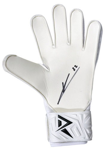 David raya signed goalkeeper - david,