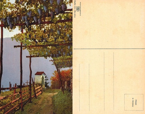 Vintage postcard vineyard - vintage,