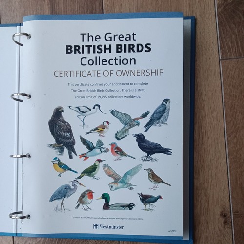British birds collection 50 - birds, collection,
