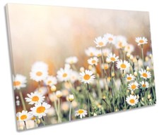 Daisy Flowers Print CANVAS