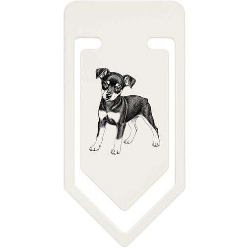 Miniature pinscher puppy - 'miniature, puppy'