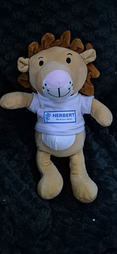 Abeec lion plush - plush, toy