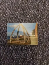 Vintage Postcard Whale Bone