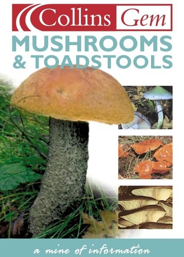 Mushrooms and toadstools - mushrooms,