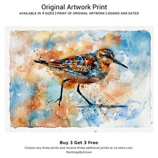 Sandpiper 5x7 Print on Matte