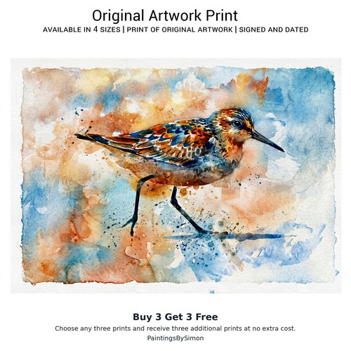 Sandpiper 5x7 print - sandpiper, matte