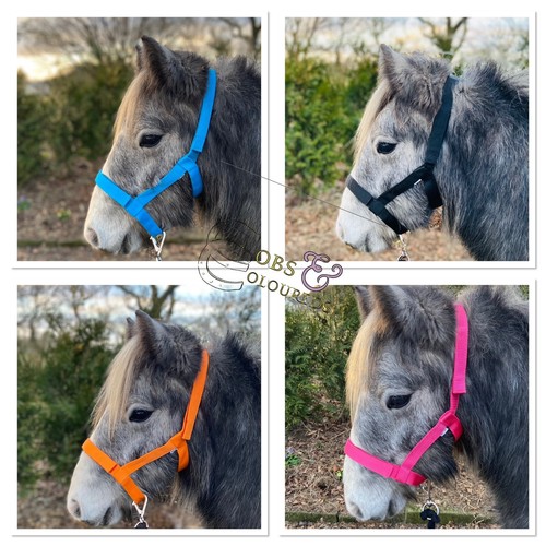 Field safe headcollars - field,