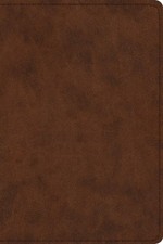 ESV Study Bible, Personal Size