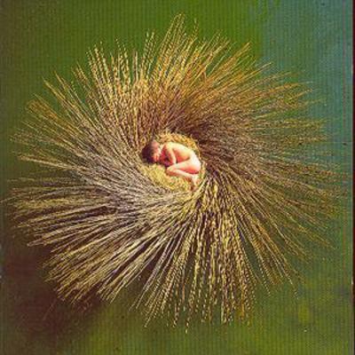 Peter gabriel ovo - gabriel:,