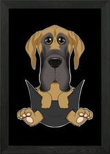 Great Dane Puppy In Pocket
