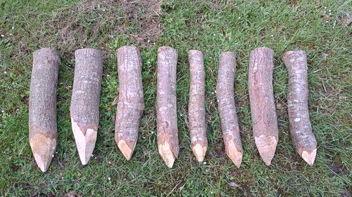 Oak wood stakes garden fence