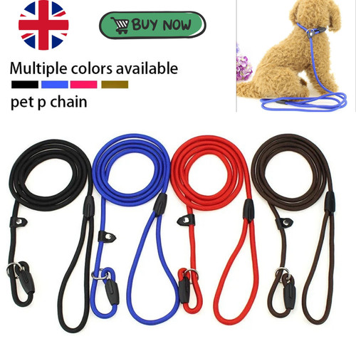 Slip lead leash rope - dog, puppy