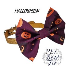 Halloween Dog Bowtie Pumpkin