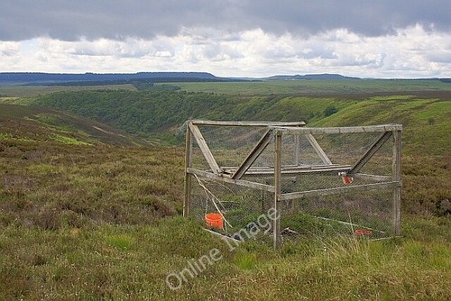 Photo 6x4 larsen trap jugger - 6x4,