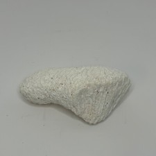 Natural BRAIN CORAL Fossil Ocean  Specimen 6" x 3" x 3" 15 Ounce