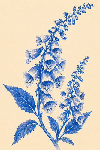 Instrukcjascribe foxglove - 26., instrukcjascribe_foxglove