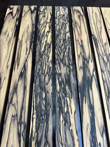 Pale moon ebony string - pale, bass