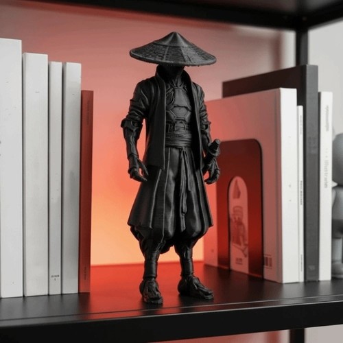 Creative ninja statue - ninja, funny