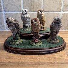 Royal Doulton Owl Figurine x5