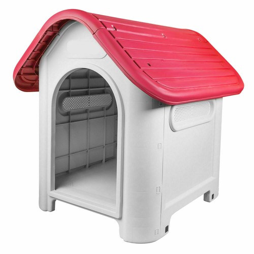 New pet dog - new, house