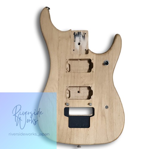 Washburn nuno bettencourt - n2,