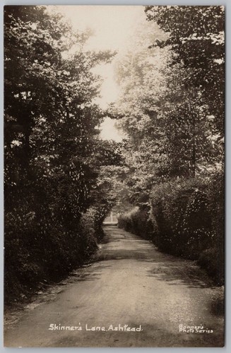 Ashtead skinner lane surrey - ashtead, skinner's