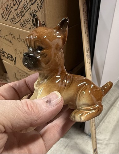 Erphila boxer dog pup puppy - dog,