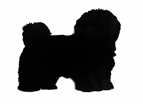 Havanese dog fridge - dog, magnet