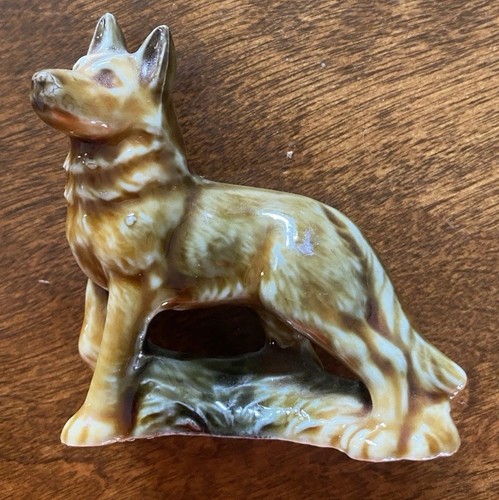 Wade alsatian german shepard - wade,