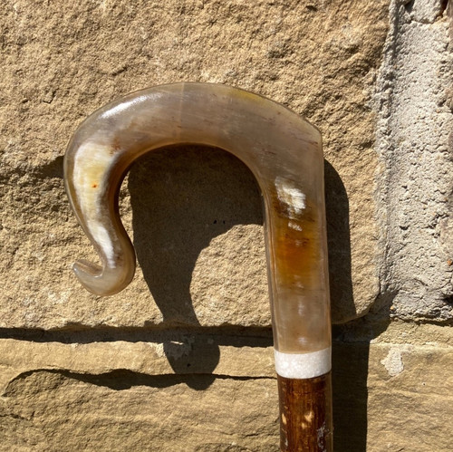 Cow horn ply crook hazel - horn, on